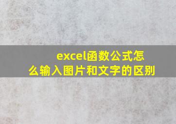 excel函数公式怎么输入图片和文字的区别