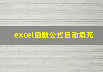 excel函数公式自动填充