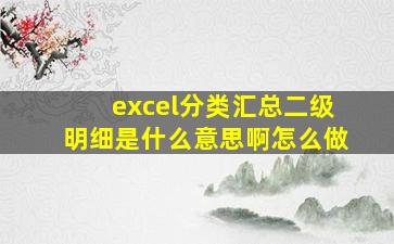 excel分类汇总二级明细是什么意思啊怎么做