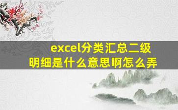 excel分类汇总二级明细是什么意思啊怎么弄