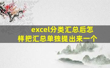 excel分类汇总后怎样把汇总单独提出来一个