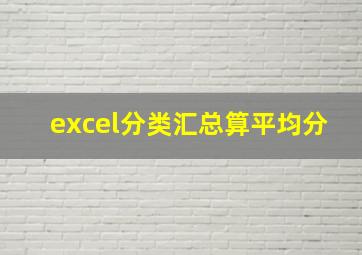 excel分类汇总算平均分