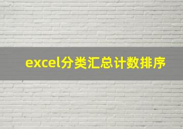 excel分类汇总计数排序