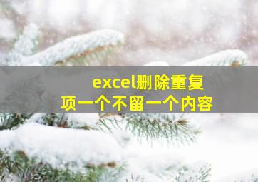 excel删除重复项一个不留一个内容