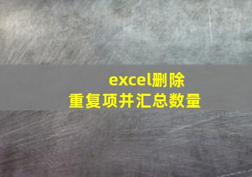 excel删除重复项并汇总数量