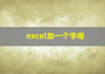 excel加一个字母