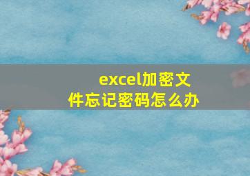 excel加密文件忘记密码怎么办