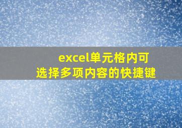 excel单元格内可选择多项内容的快捷键