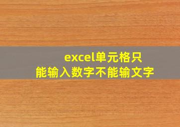 excel单元格只能输入数字不能输文字