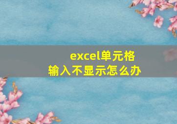 excel单元格输入不显示怎么办