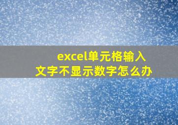 excel单元格输入文字不显示数字怎么办