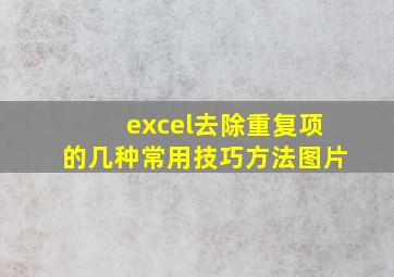 excel去除重复项的几种常用技巧方法图片