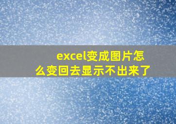 excel变成图片怎么变回去显示不出来了