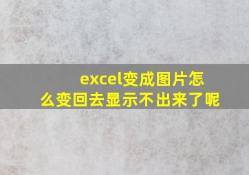 excel变成图片怎么变回去显示不出来了呢