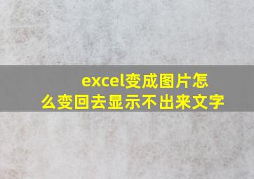 excel变成图片怎么变回去显示不出来文字