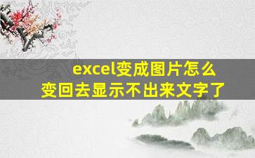 excel变成图片怎么变回去显示不出来文字了