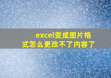 excel变成图片格式怎么更改不了内容了