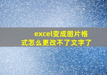 excel变成图片格式怎么更改不了文字了