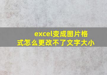 excel变成图片格式怎么更改不了文字大小