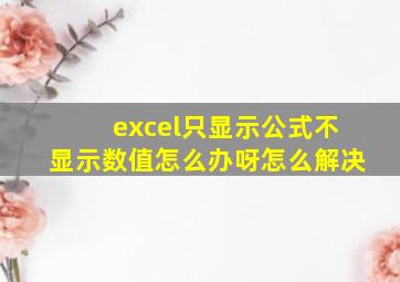 excel只显示公式不显示数值怎么办呀怎么解决