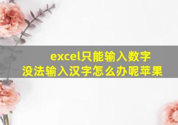 excel只能输入数字没法输入汉字怎么办呢苹果