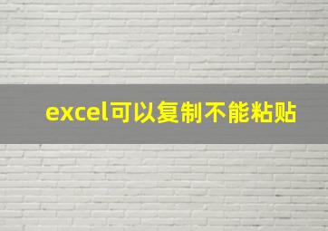 excel可以复制不能粘贴