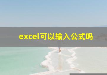 excel可以输入公式吗