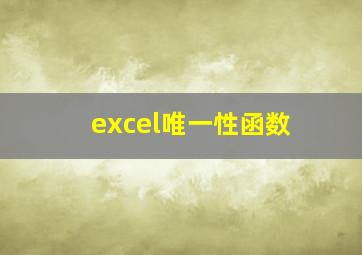 excel唯一性函数