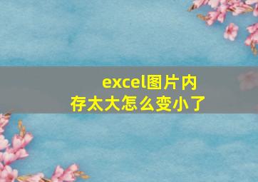 excel图片内存太大怎么变小了