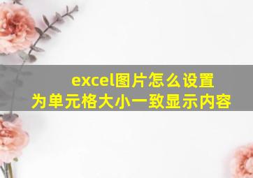 excel图片怎么设置为单元格大小一致显示内容