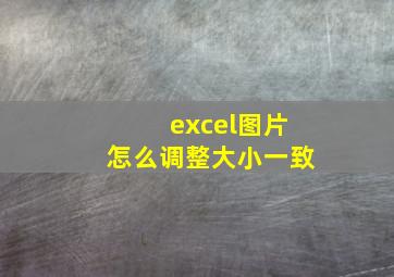 excel图片怎么调整大小一致