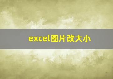 excel图片改大小