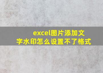 excel图片添加文字水印怎么设置不了格式