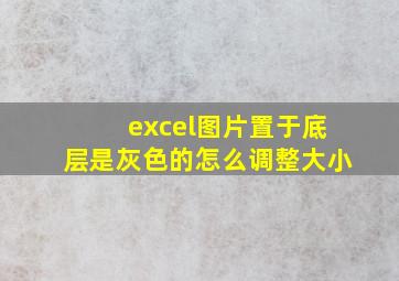 excel图片置于底层是灰色的怎么调整大小