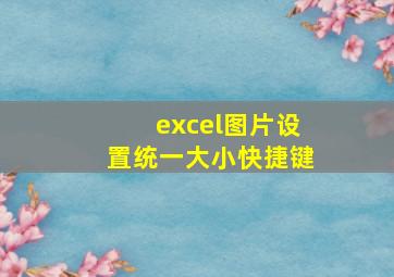 excel图片设置统一大小快捷键