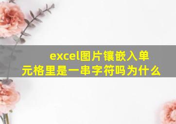 excel图片镶嵌入单元格里是一串字符吗为什么