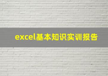 excel基本知识实训报告