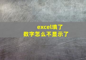 excel填了数字怎么不显示了