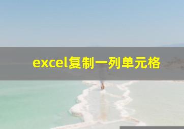 excel复制一列单元格