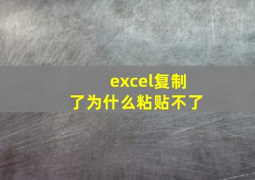 excel复制了为什么粘贴不了