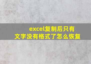 excel复制后只有文字没有格式了怎么恢复