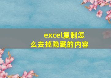 excel复制怎么去掉隐藏的内容