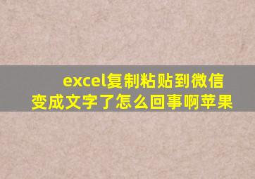 excel复制粘贴到微信变成文字了怎么回事啊苹果