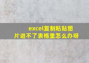 excel复制粘贴图片进不了表格里怎么办呀