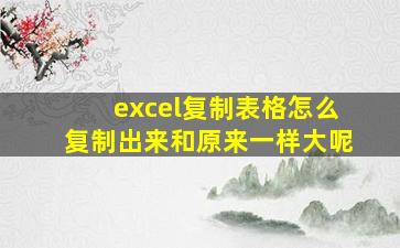 excel复制表格怎么复制出来和原来一样大呢