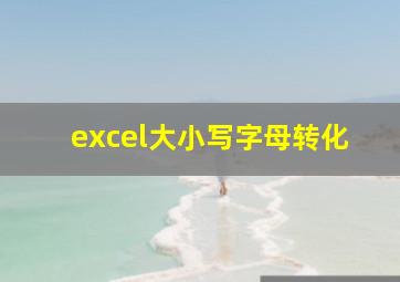 excel大小写字母转化