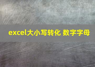 excel大小写转化 数字字母