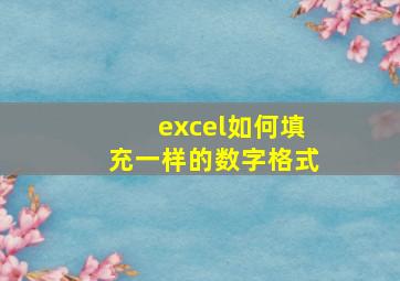 excel如何填充一样的数字格式