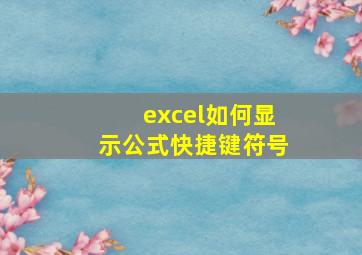 excel如何显示公式快捷键符号