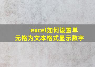 excel如何设置单元格为文本格式显示数字